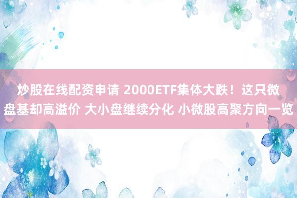 炒股在线配资申请 2000ETF集体大跌！这只微盘基却高溢价 大小盘继续分化 小微股高聚方向一览